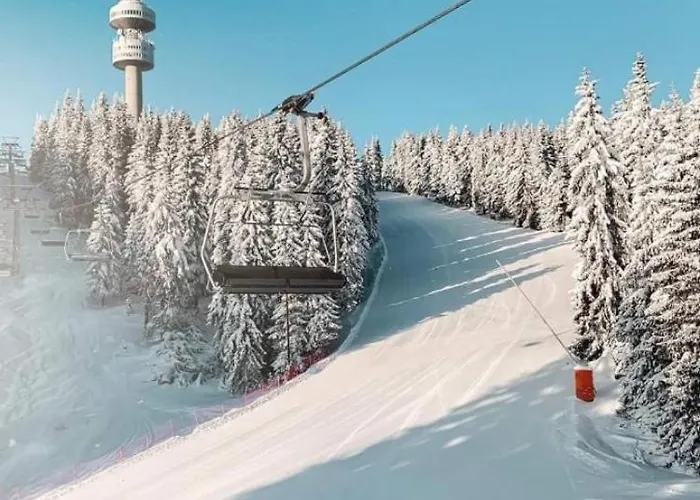 Apartahotel замъка 1 3*